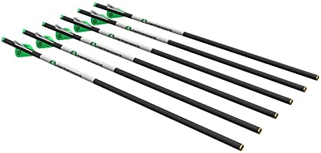 20-Цолови Карбоновые стрели CenterPoint Archery CP400 Select с 400 зърна, опаковка от 6