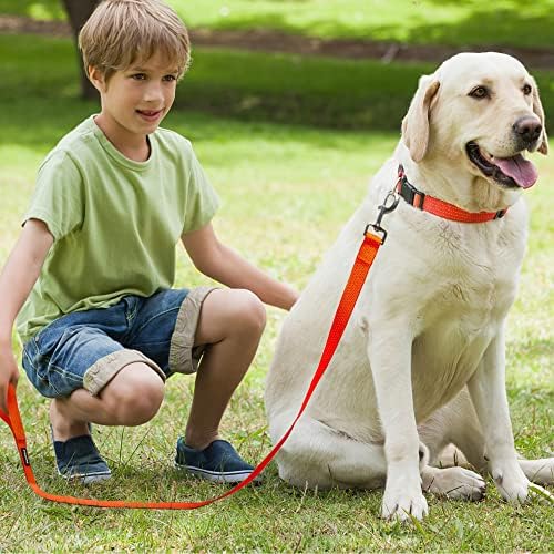 Комплект светлоотразителни греди и каишки PetiFine за малки кучета със средни размери, 6 фута набор от каишки и