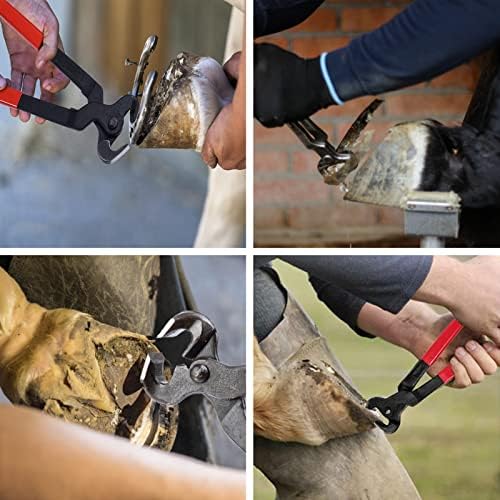 Набор от инструменти за копитата на ветеринарния лекар за коне - 16-Цолови Клещи, за да се подкова, Определени Рашпилей за