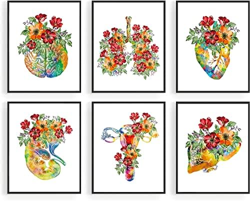 Акварел Принт на стената с анатомията и цветя, Медицински Стенно изкуство, Стенно изкуство на мозъка, Плакати с
