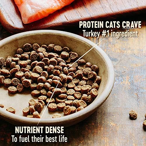 Суха храна за котки от Wellness ОСНОВНАТА Kitten Formula Беззерновой, 2 Чук пакет + Мокри Консервирана Храна за котки,
