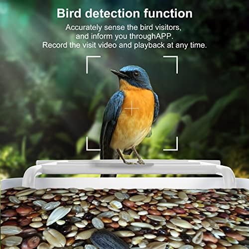 Умна ясла за птици с камера с функция за изкуствен интелект, място за наблюдение на птици, 1080P HD видео, Хранилки