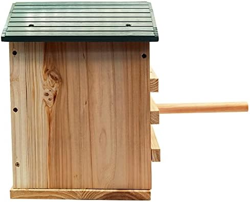 Къща сови Prolee Screech размер 14 x 10 инча ръчна изработка, с поставка за птици, кутия за сови от от кедрово дърво