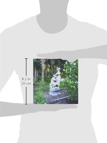 3dRose LLC Подложка за мишка с размери 8 x 8 x 0,25 инча, Романтична Градина Статуетка с корени Banyan (mp_37247_1)