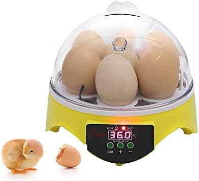 ALREMO 103234536 Инкубатор за яйца Цифров Инкубатор с Контрол на температурата за Извеждане на Пиле, Патица, Гъска, Брудера за птици, 7 Яйца (Размер: 220 В) (Size: 220)
