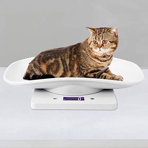 Цифрови Везни за домашни любимци, Точно Взвешивающие 10 кг/1 г Малки Везни за домашни любимци, Котки, Кучета, Измервателен