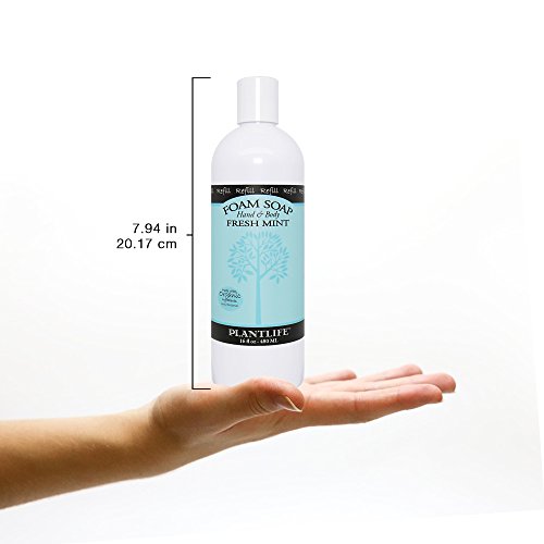 Пенящееся сапун Plantlife Fresh Mint Foam Soap Зареждане - Лек, овлажняващ Пенящееся сапун на растителна основа за всички видове