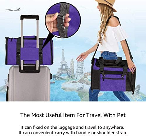 HEWADY Пет Bag Одобрен авиокомпания переноска за домашни любимци за котки и малки кученца малък и среден размер, переноска