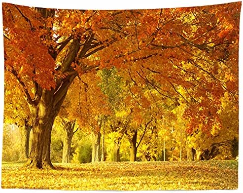 CORFOTO Плат 8x6 фута Есенни Листа Тематичен Фон За Фотосесия Парк Кленов Лист на Слънчевата Сцена Детски Душ Кръщение