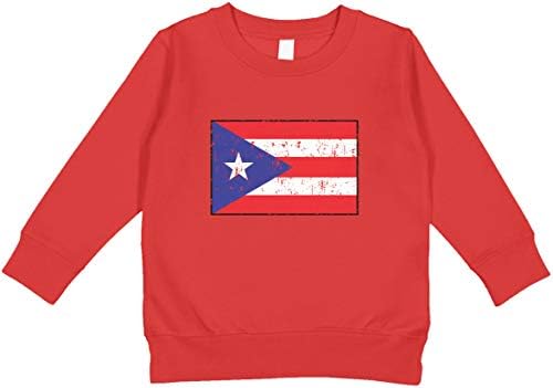 Hoody за деца Amdesco с Флага Пуерто Рико пуерторикански