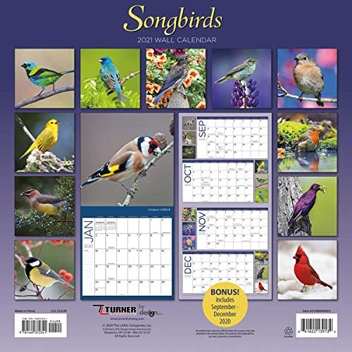 Стенен календар Turner Photo с певчими птици в 2021 година (21998940052)
