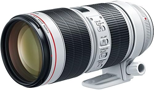 Обектив Canon EF 70-200 mm f/2.8 L IS III USM за цифрови огледално-рефлексни фотоапарати на Canon, Бял - 3044C002