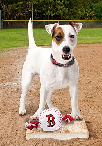 Бейзболна веревочная играчка MLB BOSTON RED SOX за КУЧЕТА И КОТКИ. Здрав найлон, спортен бейзболен дизайн, Тежкотоварни