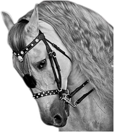 Z & X Конче Пътеки с юздите - Юзди за езда - Регулируема Конче Пътеки, Прическа, Аксесоари за езда, Аксесоари за Седлото, Юздите на конете