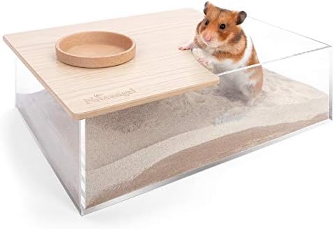 Кутия за пясъчни вани Niteangel Животните: - Акрилни Душ кабина за пясъчни вани Critter's и контейнер за пясък за хамстери, Мишки, един gerbil-леминги или други малки домашни люб