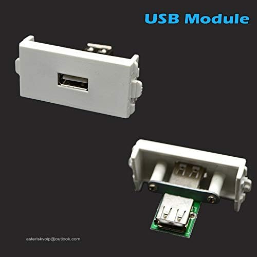Покриване на стенните панели с USB + Говорител + Модули LC, Мъжки/Жак Бял Цвят За монтиране на Стена, на Притежателя