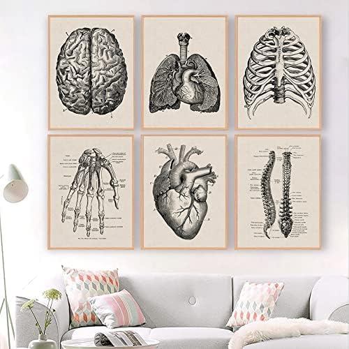 Ohhvvow Анатомия на човека Произведение Медицинска Стенни Картина на Мускулния Скелет Ретро Постер Скандинавски