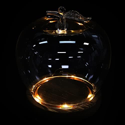 Zerodeko Прозрачен Стъклен Купол на Осп с Дървена основа и капак във формата на лесен Ябълка за Консерви, Купол