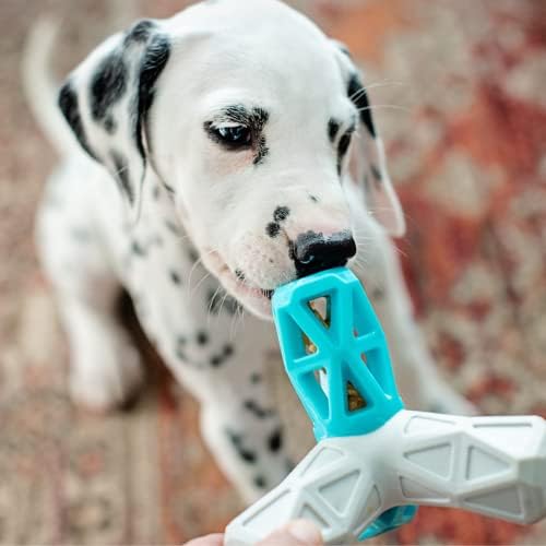Пирамидка за писка и всички всячины от Мръсни Дворняг | 5 Здрава играчка за кучета TPR с пищалкой | е Предназначен за