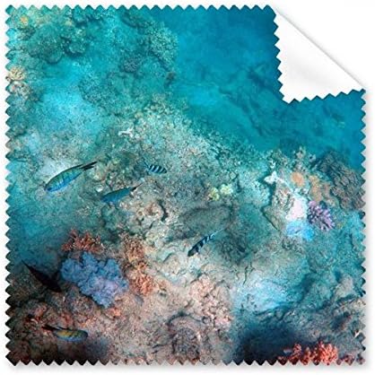 Океан Пъстри Риби Наука за Природата на Картината Плат За Почистване на Екрана на Телефона за Пречистване на Точки 5шт