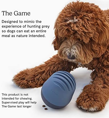 Играчка за кучета FABLE The Game, раздающая екстри - Интерактивни забавления и стимулиране на ума - Играчка за кучета, имитирующая