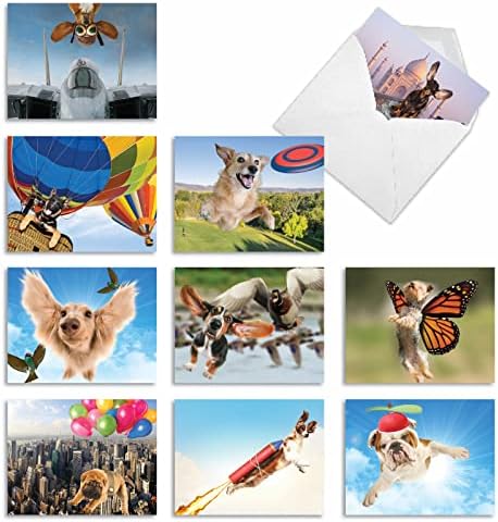 Най-добрата компания за производство на пощенски картички - 10 празни карти за кучета в продуктова гама (4 x 5,12