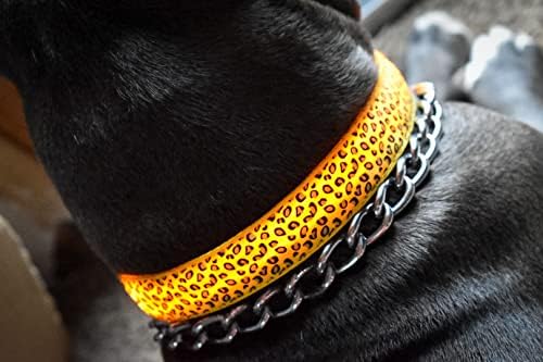 Стилни нашийници за кучета с леопардовым принтом и Ярки led подсветка (в средата, в жълто)