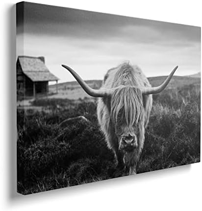 Платно с изображение на високопланинско крави в рамка, Монтиране на изкуството, черно-бял Пейзаж, Пасища, Снимки космат любимец,