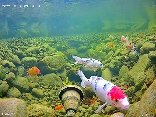 Камера Barlus Подводна 5-Мегапикселова CMOS 100 ° Широка HD-камера за езерото Дистанционно управление на осветлението с 32-футовым кабел