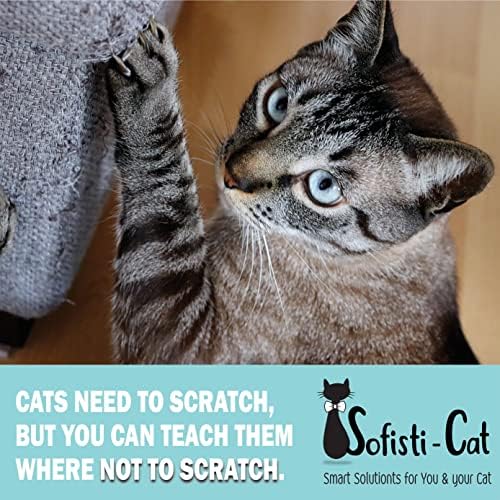 Sofisti-Лента за защита от котешки драскотини - Комплект от поименно 2,5 x 15 см и опаковки от 10 до пълен размер на листа - Тренираш своята котка не надраскване на вашите ме?
