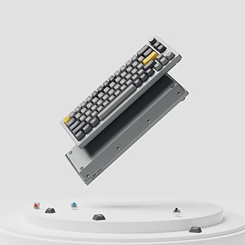 Keychron Q2 Жичен потребителска версия на механична клавиатура с дръжка, 65% оформление QMK/VIA Програмируеми Макро с възможност за гореща замяна Gateron G Pro Кафяв Преминете Дв?