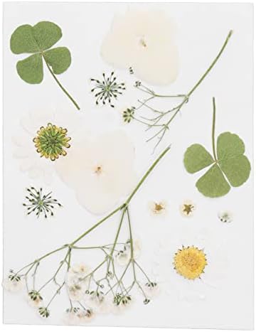 Сухи Цветя, Производство на Пресовани цветя с ръчно изработени със собствените си ръце, за да Калъфи за телефони