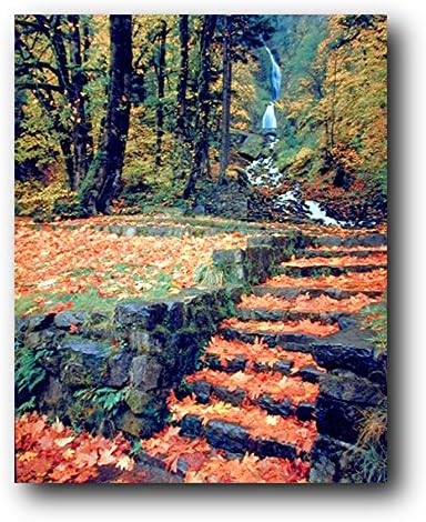 Водопад И Падналите Есенни листа, за Стъпките На Пейзаж, Картина на Природата Стенен Декор Художествена Печат на Плакат
