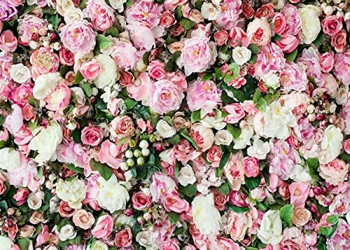 7x5ft Пролетни Цветя, Фонове, за Снимки Цветен Фон Розова Роза Тематичен Фон За Снимки на Фона на Ден на Майката Украса за Парти по случай рождения Ден на D525