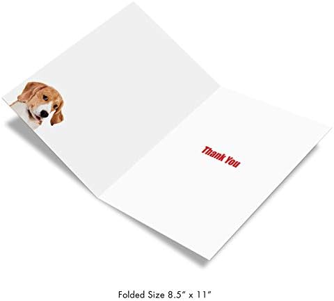 Най-добрата компания за производство на пощенски картички - 1 Голяма пощенска картичка с благодарност (8.5 x 11