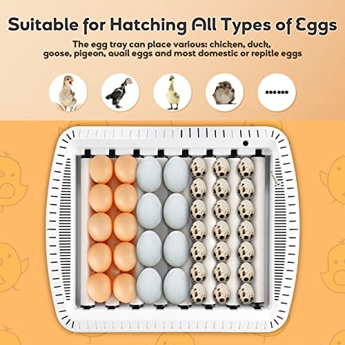 35-65 Инкубатор за яйца с Автоматично переворачиванием яйца, контрол на температура, вентилатор и индикатор за влажност