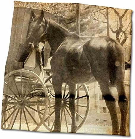 3. Кон Кэсси Питърс - амиши Носят в Дома си Нов Кон - Кърпи цвят сепии (twl-184525-3)
