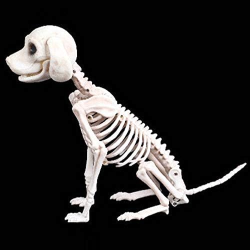 Подпори Куче Хелоуин Скелет Вечерни игра на Зарове Ужасите Украса на Магазин на Животно Образование за 4-Годишни