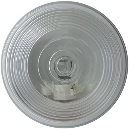GG Grand General 80478 4-инчов Прозрачен Запечатани Лампа с нажежаема Жичка
