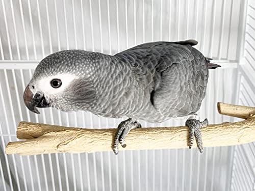 Птиците ОБИЧАТ Малки Бутилка Убежища в Дървена Клетка