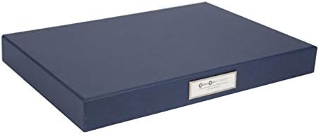 Класически Окачени кутия за документи Bigso Sven от ПЛОСКОСТИ, 1,8 x 13,2 x 9.3 инча, Синьо