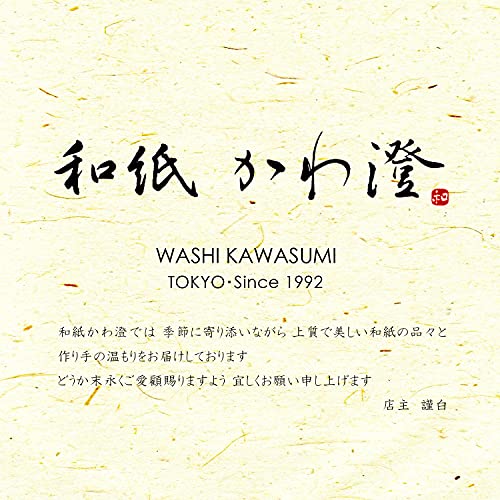 Японската хартия Washi Kawasumi Momi Washi, Черна, Размер B4, 10,2 x 14,4 инча (25,7 36,4 x cm), опаковка от 10
