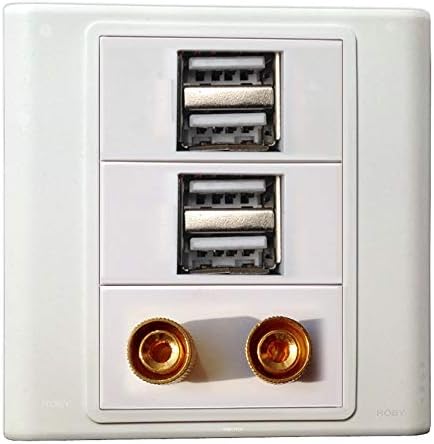 Стенни панела с конектор USB-зарядно устройство за 2 x 2.1 A + Говорител Keystone Модулни Съединители Jack Изход Бели Декоративни