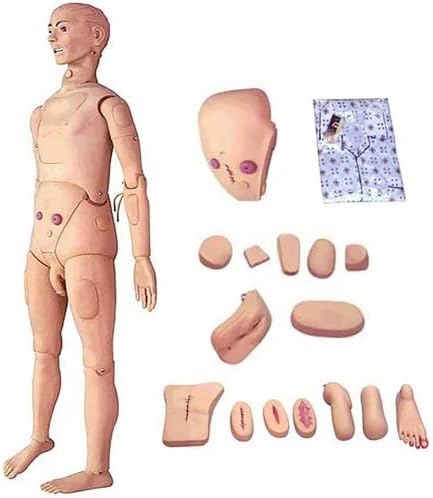 KENNIX 5,57 фута Манекен за Грижа за пациентите в Пълен Размер Анатомическая Човешки Модел за Обучение Сестринским