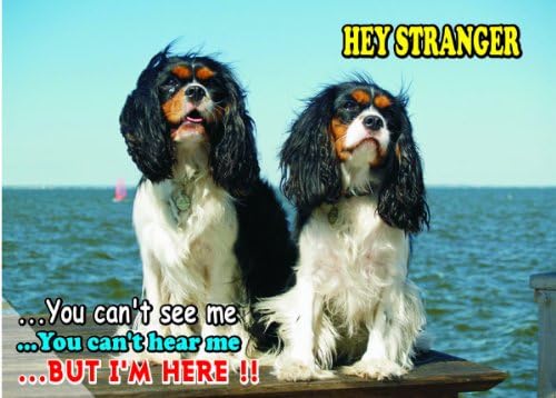 Внимание - Пазете се / Забавен Знак на Кучето Играчка Траулер Шпаньол Куче за вашия дом SF2249 Размер A4