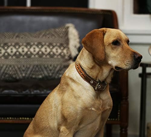 Нашийник за кучета с плетена шипове от естествена кожа, кафяв на цвят с ширина 1,6 инча. Подходящ за шията
