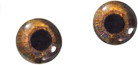 10 мм Стъклени Очи Краснохвостого Ястреб Куклени Ириси за Художествена Таксидермии от Полимерна Глина, Скулптура или Бижута,