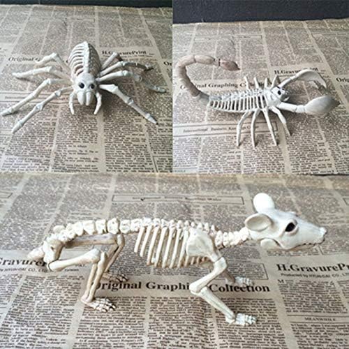 Декоративни елементи Abrante за парти в чест на Хелоуин, Реквизит За украса Скелети на Мишки, Паяци и Скорпиони от смола (Скелет Скорпион)