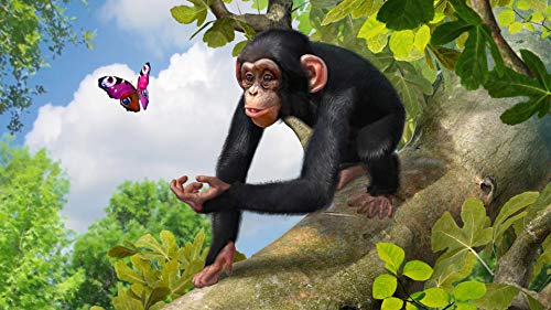 Магнат на зоологическата градина: Крайната Колекция от животни PC DVD