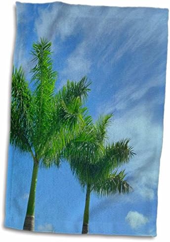 Чаршафи с тропически пейзажи 3dRose Florene - Палмова вятър (twl-34691-1)